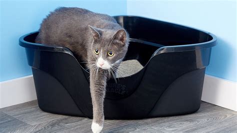 Magic cat litteer box